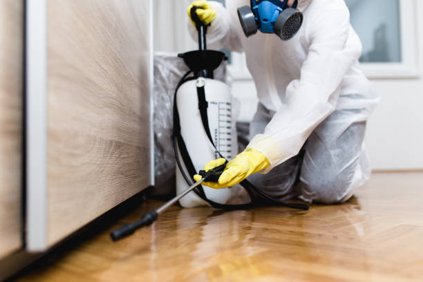 Best Flea Control Services  in Prince George, VA