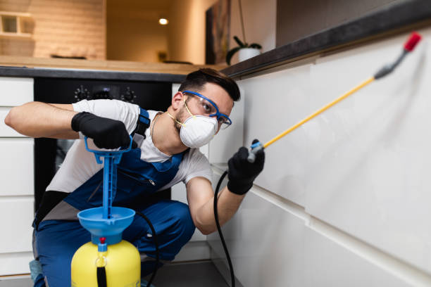 Best Flea Control Services  in Prince George, VA
