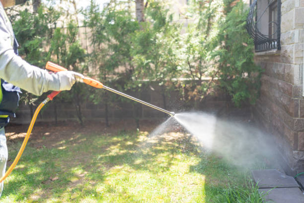 Best Rodent Control Near Me  in Prince George, VA