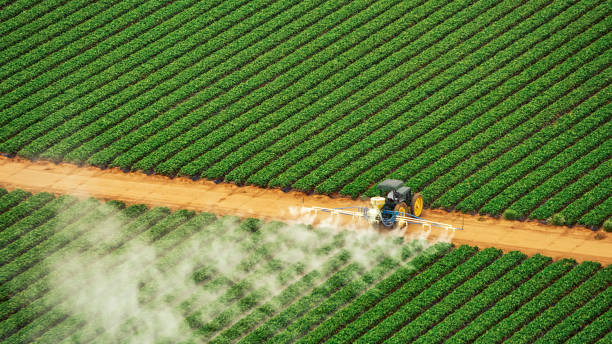 Professional Pest Control in Prince George, VA