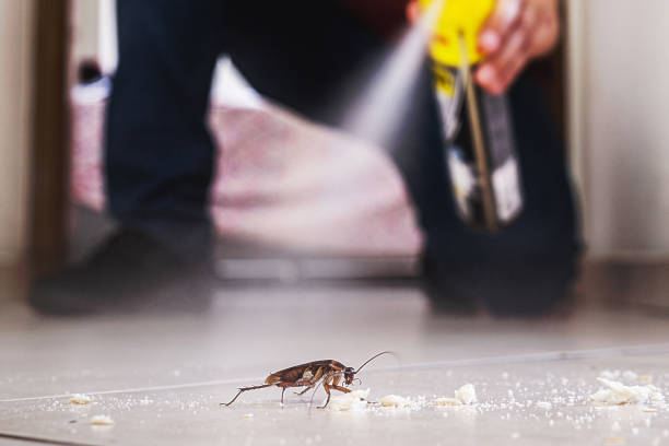 Best Bed Bug Extermination  in Prince George, VA