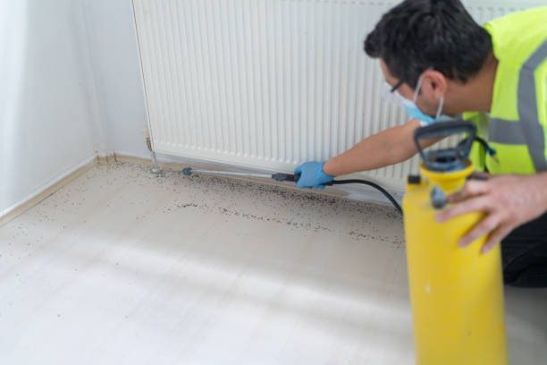 Best Pest Removal Services  in Prince George, VA