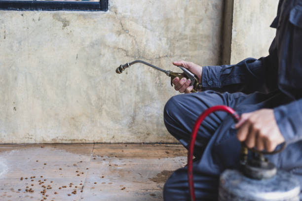 Best Best Pest Control Companies  in Prince George, VA